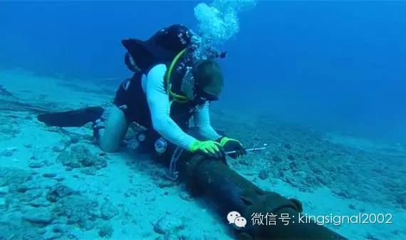 国产人成无码视频在线观看