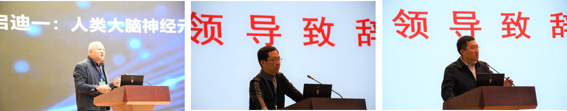 国产人成无码视频在线观看