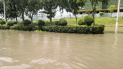 国产人成无码视频在线观看