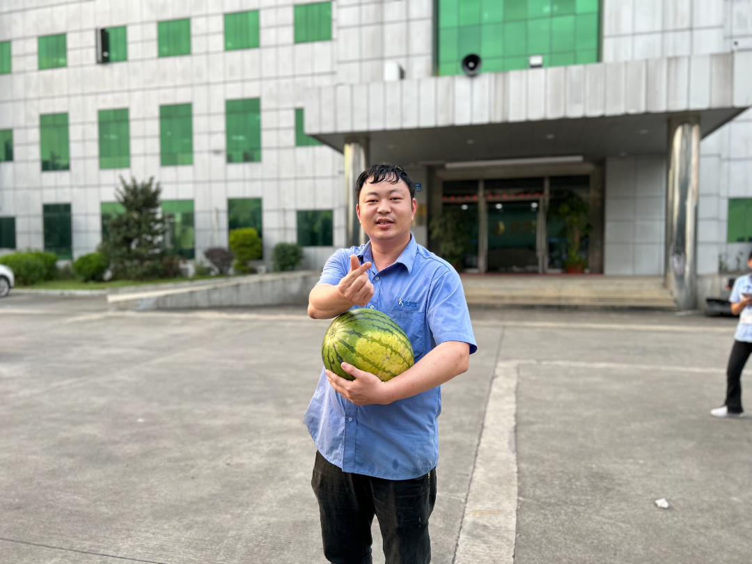 国产人成无码视频在线观看